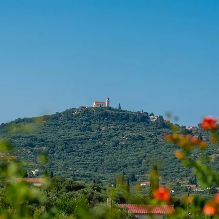 Villa Zakynthos Traditional House *