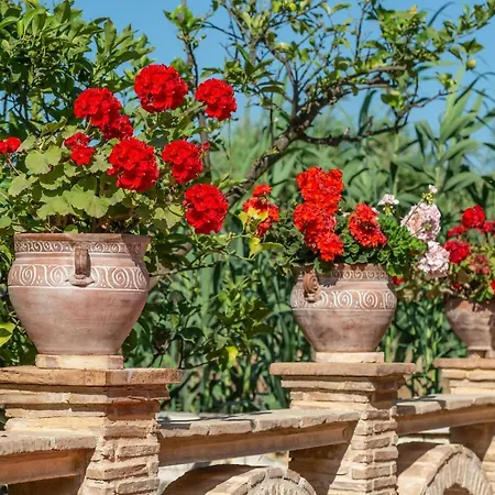 Villa Zakynthos Traditional House